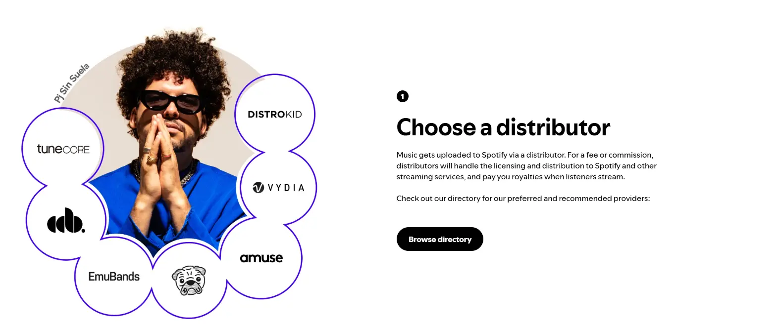 Spotify for Artists dashboard overview